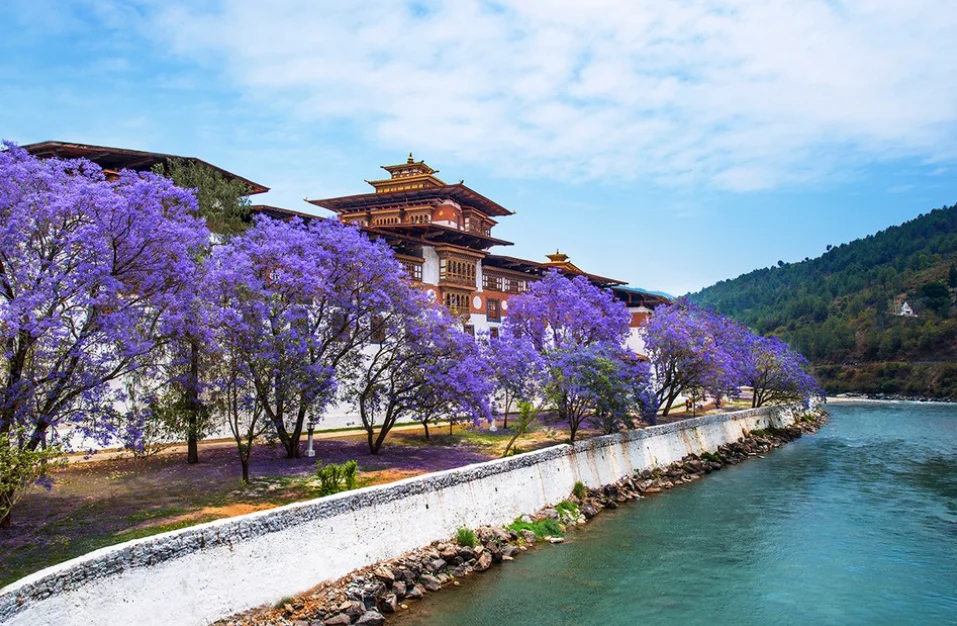 best Bhutan cultural tour packages — Tiger's Nest Monastery Paro