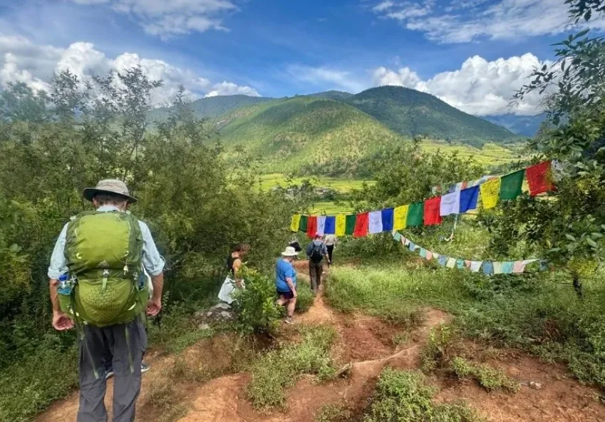 Rhododendron forest Bhutan spring best time to visit bhutan trekking