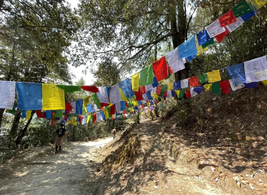 Bhutan travel cost overview — Paro Valley aerial view with Bhutan travel cost guide branding