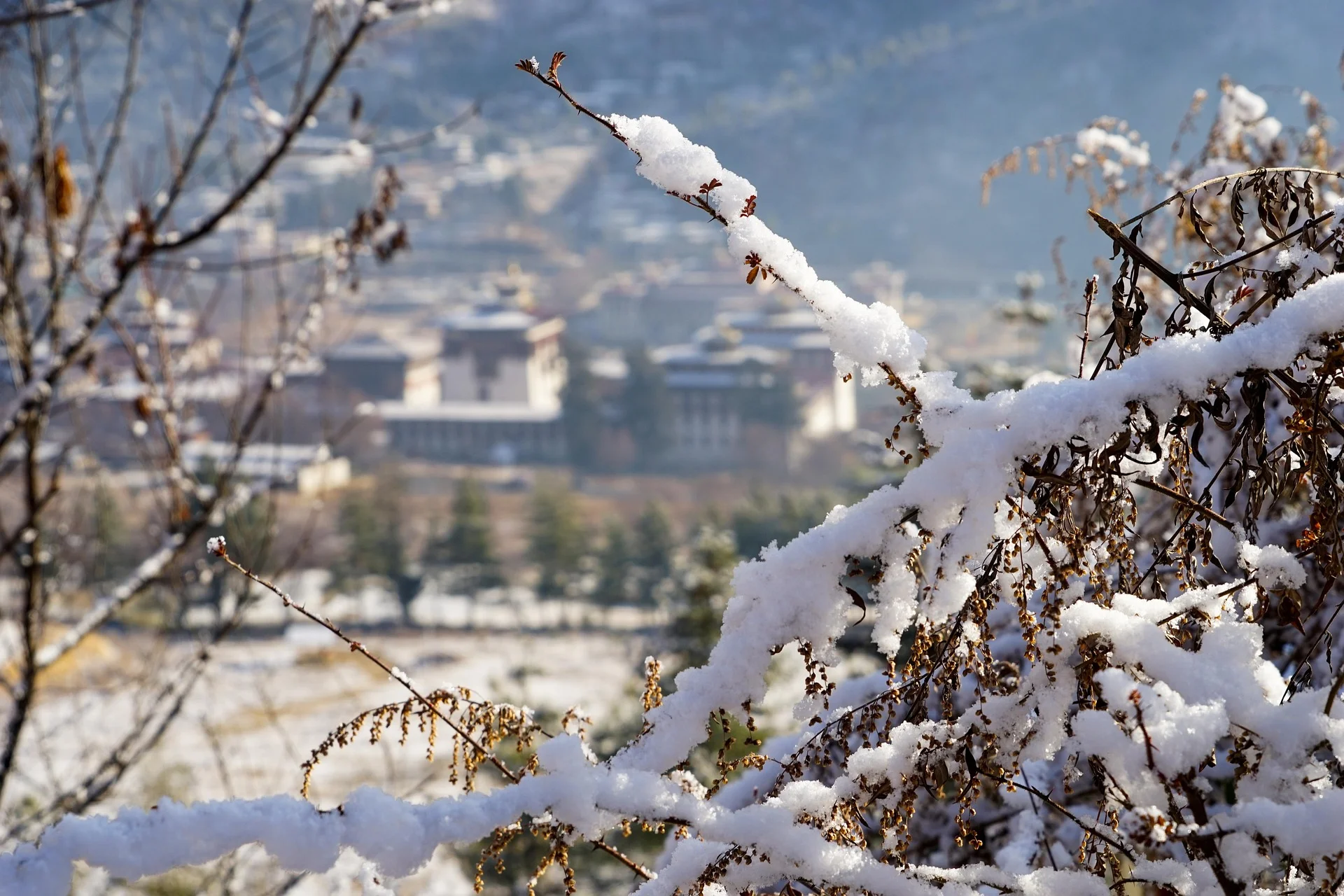 bhutan Trekking